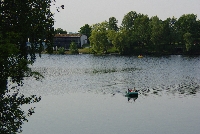 image1009.jpg